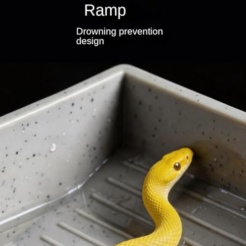 Tortoise Water Dish Feeding Tray with Ramp | Reptile Food Water Bowl for Geckos Snakes Pets Habitat Aquarium Terrarium Outdoor