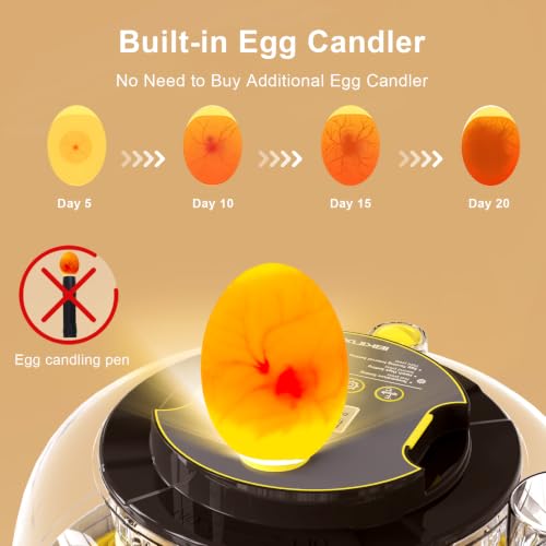 IBKINXX Incubator for Hatching Eggs-18 Egg Capacity, Newly Upgraded Automatic Egg Turner, Temperature & Humidity Control, 360° Viewing for Chicken, Duck and Quail Eggs (Black) | Automatic Temp & Humidity Control, Auto Egg Turning & Built-in Egg Candler fo