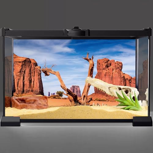 AWERT 36x18 inches Reptile Habitat Background Sky Oasis Mountain Cactus Sun and Desert Terrarium Background Polyester Background - size: 36x18in/90x45cm