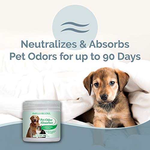 SMELLS BEGONE 15oz Gel Odor Eliminator - Absorb & Remove Tough Odors in Pet Areas, Bathrooms, Basements, Garage, Cars, RVs & Boats - Eliminate Odors Quickly (1-Pack, Pet Calming Rain) - size: 15 Ounce (Pack of 1)