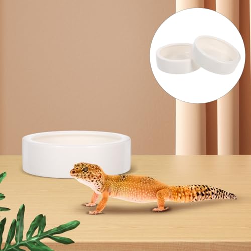 2 Pcs Ceramics Reptile Feeding Bowls for Small Reptile Animals and Lizards, White Round Bowls with Stable Desktop Standing and Safe Material, for Food and Water Storage