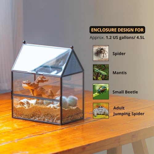 NCYP Glass Enclosure with Vent Holes for Small Insect, Jumping Spiders, Mantis - 7.5" x 4.9" x 9" Front Opening Door House Shape Vented Glass Terrarium, Home Decor Black (Terrarium Only) - size: 7.5" x 4.9" x 9"