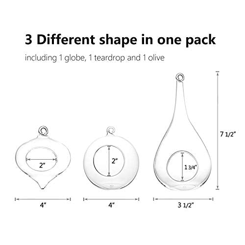 Mkono 3 Pack Air Plant Holder, Glass Hanging Planter Terrarium Globe Hanger | for Indoor Live Fern Succulent, Unique Display Jar,Home Office Christmas Holiday Decor,Plant Lover Gift,Airplant Excluded