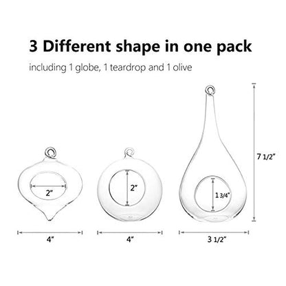 Mkono 3 Pack Air Plant Holder, Glass Hanging Planter Terrarium Globe Hanger | for Indoor Live Fern Succulent, Unique Display Jar,Home Office Christmas Holiday Decor,Plant Lover Gift,Airplant Excluded