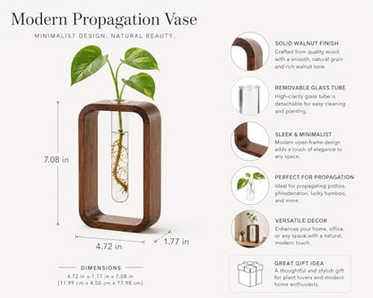 Modern Wooden Frame Glass Vase Hydroponic Planter – Minimalist Square Propagation Station with Test Tube Vase – Indoor Plant Terrarium for Flower, Cuttings & Home Office Decor
