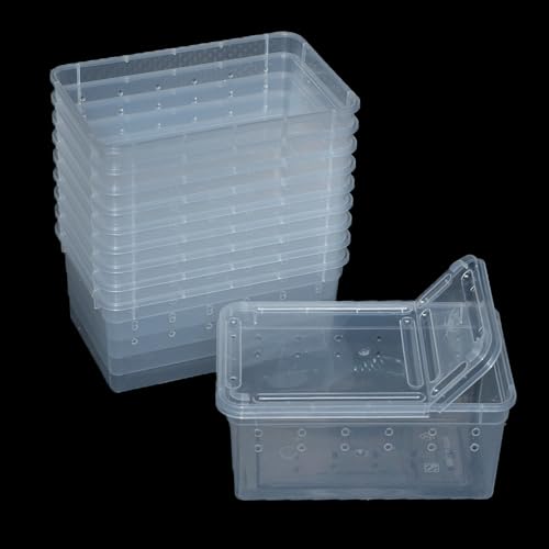 10 Pcs Reptile Feeding Boxs, Plastic Spider Terrariums Breeding Box Feeder Insect Container Feeding Box for Small Reptile Bearded Dragon Lizard Spider Gecko Scorpion 5.9 x 3.9 x 2.5 in
