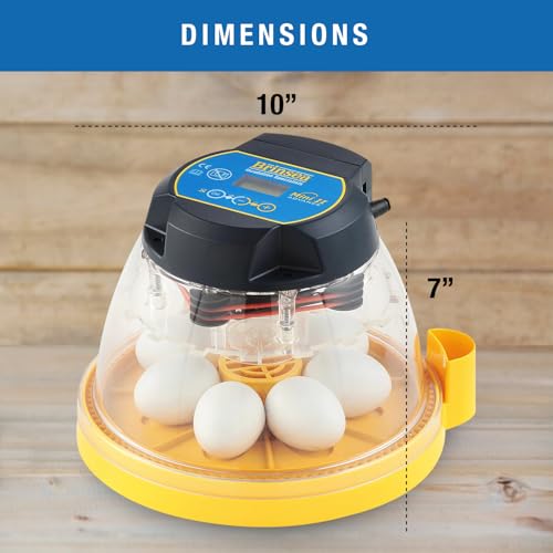 Brinsea Mini II Advance Egg Incubator with Automatic Turning & Extra Insert | 50+ years of expertise! Set-and-forget automatic incubator with digital countdown gives your eggs the best chance to hatch - size: 7 Eggs with extra insert