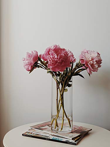 WGVI Quality Thick Weighted Clear Cylinder Glass Vases, 4" W x 10" H, Flower Arrangement Floating Candle Holders Wedding Centerpieces Terrarium Planter Floral Pen Brush Storage Container, 1 Piece - size: 4"x10"H