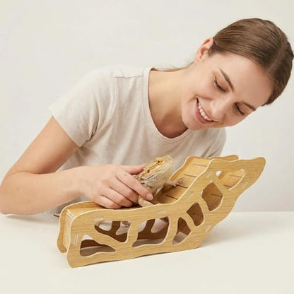 3-in-1 Poplar Wood Reptile Hideout with Sloped Ramp & Tunnel, Golden-Brown Terrarium Decor for Bearded Dragon, Lizard, Snake, Gecko, Lightweight Easy-Clean Habitat (Golden-Brown Poplar Wood)