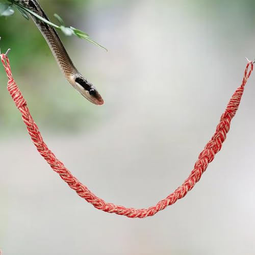 Snake Climbing Toys, Hermit Crab Rope Ladder, Hermit Crab Supplies, Reptile Vines Toys, Reptile Tank Terrarium Accessories, Habitat Decor for Hermit Crab Lizards Geckos