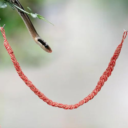 Snake Climbing Toys, Hermit Crab Rope Ladder, Hermit Crab Supplies, Reptile Vines Toys, Reptile Tank Terrarium Accessories, Habitat Decor for Hermit Crab Lizards Geckos