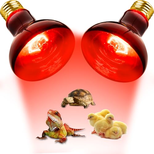 100W Reptile RED Heat Lamp Bulbs, Reptile & Amphibian Basking Spot Bulbs | UVA dimmable light for Chickens Coop Pets Brooder Bearded Dragon Lizard Tortoise Use, Pack of 2 - color: Red