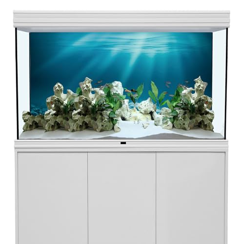 72x24 in Undersea Aquarium Backdrop Underwater World Fish Tank Background | AWERT Sunshine Seabed Blue Coral Terrarium Background Polyester - size: 72x24in/180x60cm