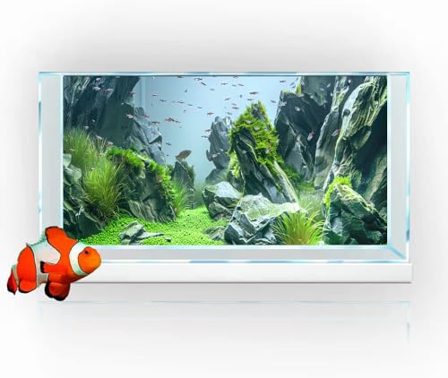 Marine Aquarium Background, Sea Rock Green Landscape Fish Tank Background, Nature Photo Terrarium Background 60X24IN with 8 EVA Double-Sided Tape - size: 60X24in/150X60cm