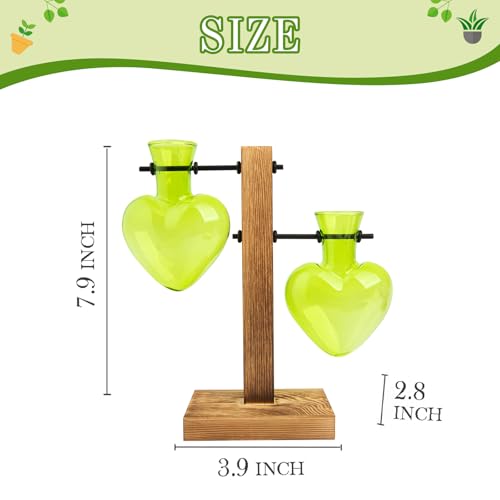 XXXFLOWER Plant Propagation Station Terrarium 2 Green Heart Shaped Vase | Terrarium Kit Bulb Glass Metal Desk Plant Holder, Retro Air Plants Water Plants, Home Office Decoration - color: Green