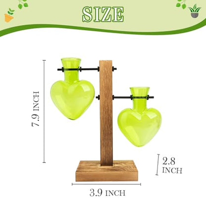 XXXFLOWER Plant Propagation Station Terrarium 2 Green Heart Shaped Vase | Terrarium Kit Bulb Glass Metal Desk Plant Holder, Retro Air Plants Water Plants, Home Office Decoration - color: Green