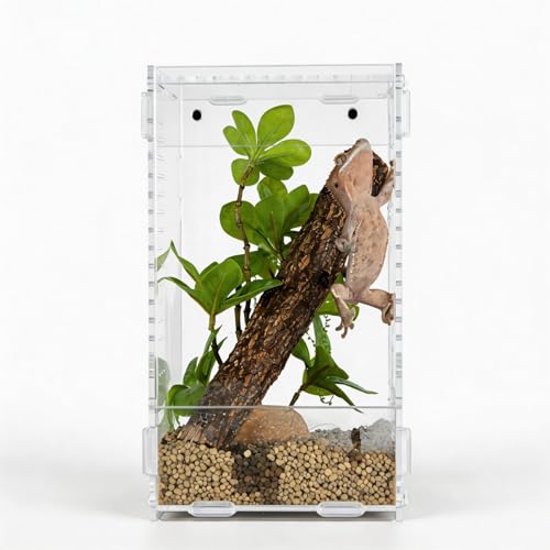 5x5x8 Acrylic Reptile Enclosure - Clear Small Pet Terrarium | Distortion-free all-acrylic build with top and side ventilation for clear observation - size: 5"5"8"