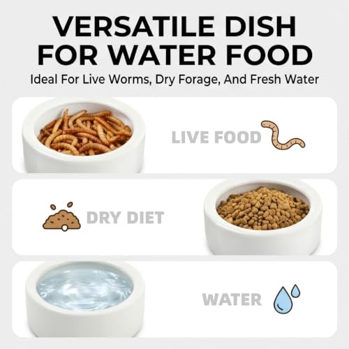Reptile Food Dish Bowl, 2 Pack Lizard Gecko Ceramic Mealworms Bowls for Leopard Bearded Dragon Chameleon Hermit Crab Dubia Cricket Anti-Escape Superworm Feeder (Medium-2Pack) - size: Medium-2Pack