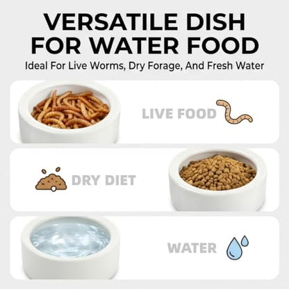 Reptile Food Dish Bowl, 2 Pack Lizard Gecko Ceramic Mealworms Bowls for Leopard Bearded Dragon Chameleon Hermit Crab Dubia Cricket Anti-Escape Superworm Feeder (Medium-2Pack) - size: Medium-2Pack