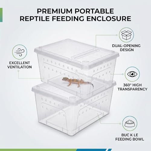 Luocute 2PCS Reptile Feeding Box, Transparent Portable Plastic Reptiles Breeding Enclosure Transport Container for Bearded Dragon Lizard Spider (L)