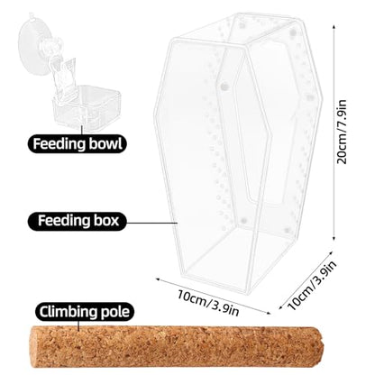Jumping Spider Enclosure, Magnetic Door Acrylic Terrarium with Feeding Dish & Landscape Stick for Tarantula Snails Insects Reptiles Plants, Coffin Shape Tabletop Decor 4" x 4" x 8"