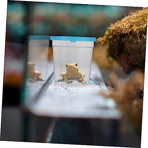 Sosoport 1Pc Reptile Feeding Box Transparent Insect Cup Mini Turtle Tank for Betta Fish Easy Feed Design Lightweight and Convenient for Small Turtles Spiders - color: Random Color