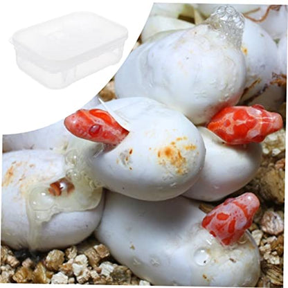 DOITOOL 3pcs Reptile Hatching Incubation Box Two Design for Eggs for Snakes and Lizards Efficient Reptile Breeding Container