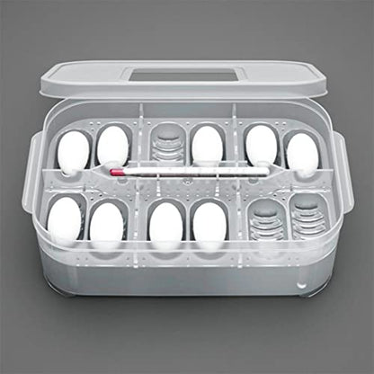 Reptile Incubation Box Reptile Incubator Egg Tray Hatching Box with 12 Grids for Turtle Gecko Lizards Mane, Reptile Hatching Box, standard, style 1