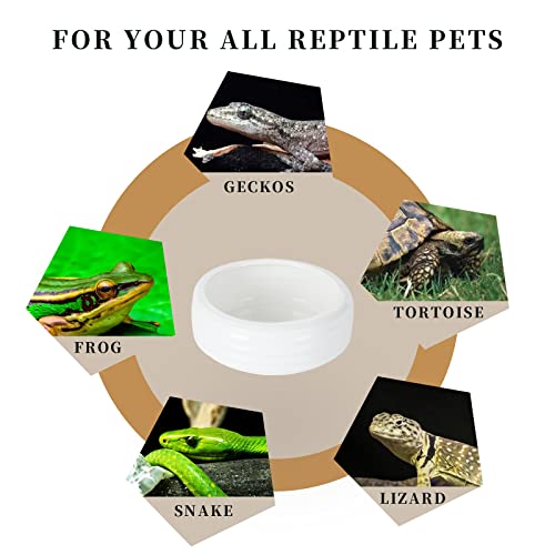 Reptile Food Bowls Ceramic Reptile Water Food Dish (White, Medium-2Pack)