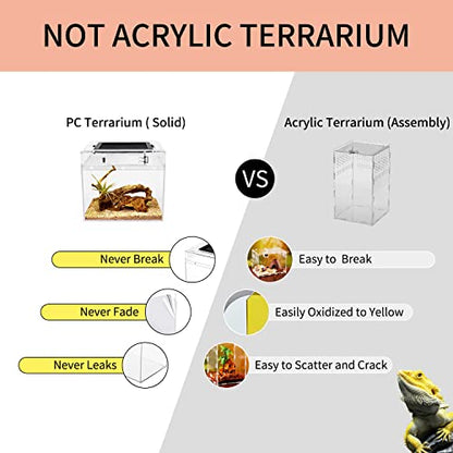 Reptile Growth Mini Reptile PC Terrarium,8x8x7 inch Amphibian Tank Starter Kit Habitat Cage，for Insect，Fish，Tarantula，Turtles，Jumping Spiders and Small Reptiles - size: 8" x 8"x 7"