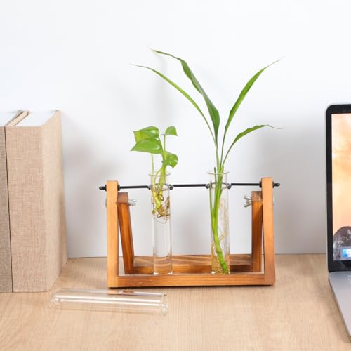 4Pcs Hydroponic Glass Test Tube Vases for Flower Propagation Small Plant Terrarium Holders Space-Saving 5.90X1.18X1.18In Home Office Decoration