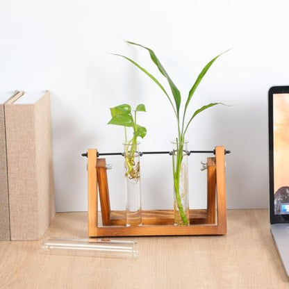 4Pcs Hydroponic Glass Test Tube Vases for Flower Propagation Small Plant Terrarium Holders Space-Saving 5.90X1.18X1.18In Home Office Decoration