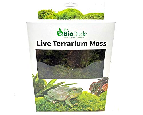 BIODUDE Live Terrarium Moss - Natural Pillow Moss | Natural Pillow Moss