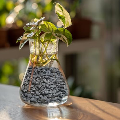 Mr. Fireglass Natural Decorative Gray Bean Pebbles 1/5" Crushed Gravel Stone for Decorating Garden, Succulent Plants and Walkway (10-lb Bag) | Aquarium Gravel, Crushed Gravel Stone, For Indoor Plants, Vases, Succulents, Outdoor Garden Landscaping and Home