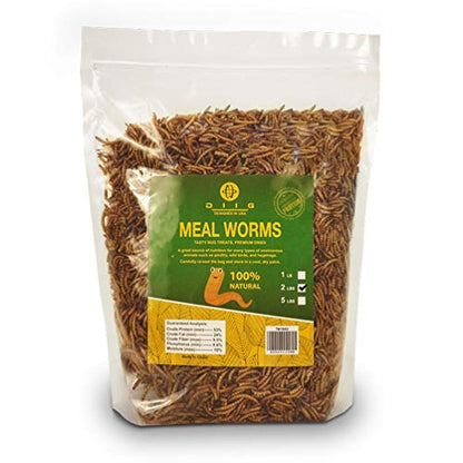 DIIG Non-GMO Dried Mealworms - Treats for Birds Chickens Hedgehog Hamster Fish Reptile Turtles, 2 lb - size: 2 Pound (Pack of 1)