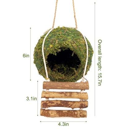 Handmade Moss Reptile Hanging Nest 4 Pcs Set, Large 6″ x 6″ | Gecko Hideout with Ladder, Terrarium Decor for Crested Gecko, Leopard Gecko, Lizard, Small Reptiles & Amphibians - size: Large 6″ x 6″