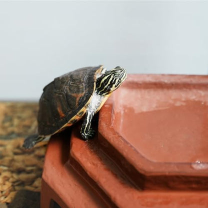 Reptile Habitat Décor Hideouts Basking Platform with Ramp for Aquatic Turtles Reptile Hide Cave Resting Terrace for Tortoise, Bearded Dragon,Leopard Gecko,Lizard