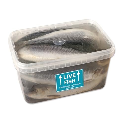 60PCS Live Fish Stickers Shipping Supplies,Please Handle with Care This Side Up Arrow Warning Stickers,Live Fish Shipping Labels(2"x3")