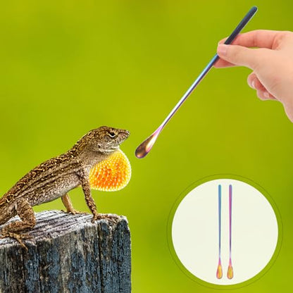POPETPOP Pet Feeding Spoon Small Reptile Enclosure Tool Lizard Food Scoop Stainless Steel Lightweight and Portable - color: As Shown 2