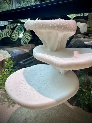 Mushroom Ledge for Terrarium – Climbing & Resting Platform with Suction Cups (Bone, 6''x4.5''x5.25'') - color: Bone