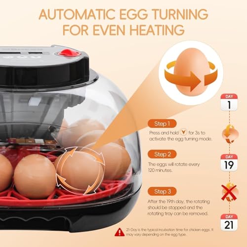 Series II - 12 Egg Automatic Incubator for Beginners, Smart Adaptive Humidity (Dual-Bottle) & Auto Temp Control, Auto Egg Turn, Real-Time Display, Candler, 360° View for Hatching Poultry Eggs - size: 12-Egg Black+Red
