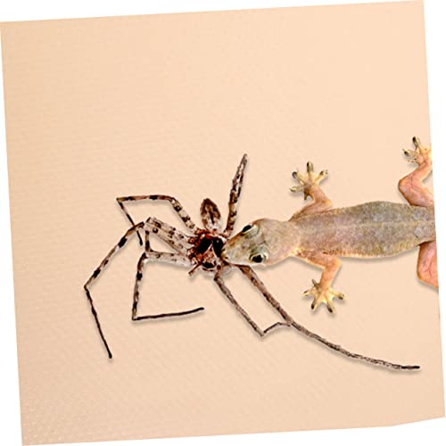 Reptile Carpet Mat for Snakes and Lizards 48 x 24 Non-Toxic Terrarium Bedding Easy to Clean Reptile Cage Mat for Turtles and Gecko Habitat - color: Beige