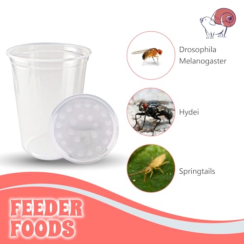 Snout and Shell Deli Cups with Fabric Vented Lids, 10 Pack - Secure Fruit Fly & Insect Cultures, Prevent Escapes & Contaminants, Easy Fruit Fly Media Preparation, Hot Liquid Safe - size: 32oz/10 cups