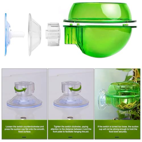 Reptile Feeding Dish with Strong Suction Cup, Translucent Anti-Escape Worm Food Bowl, Live Fodder Water Container, Green, 1PC (Green) - color: Green