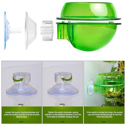 Reptile Feeding Dish with Strong Suction Cup, Translucent Anti-Escape Worm Food Bowl, Live Fodder Water Container, Green, 1PC (Green) - color: Green