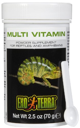 Exo Terra Multi Vitamin Powder Supplement for Reptiles & Amphibians, 2.5 oz | Supports Growth, Reproduction & Vital Functions, Balanced Blend of Vitamins, Minerals, Amino Acids & Trace Elements - size: 2-1/2-Ounce