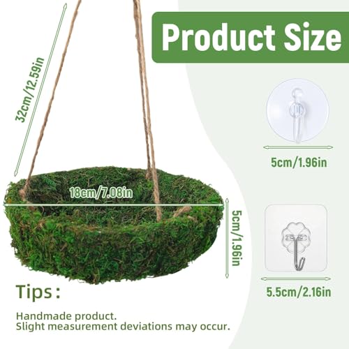 Frog Reptiles Cave Hide, Green Lizard Hideout with Safe Shelter