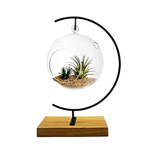 WAJJ Ornament Display Stand Ornament Stand Holder Iron Pothook Stand for Hanging Glass Terrarium (Wood)