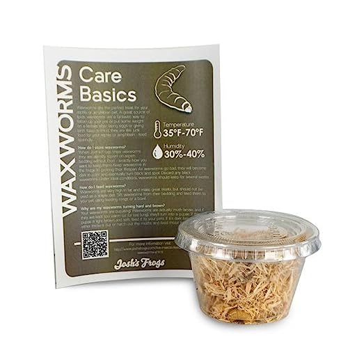 Josh's Frogs Bearded Dragon Live Feeder Insect Bundles (Juvenile)