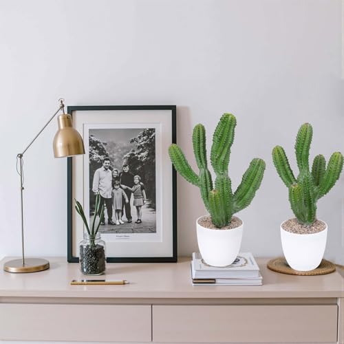 Artificial Cactus 14inch Faux Cacti Fake Succulent Plants for Indoor Outdoor Home Office Garden Decor - size: 14inches